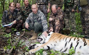 Wladimir Putin als Dompteur wilder Tiere - eines seiner Lieblingssujets